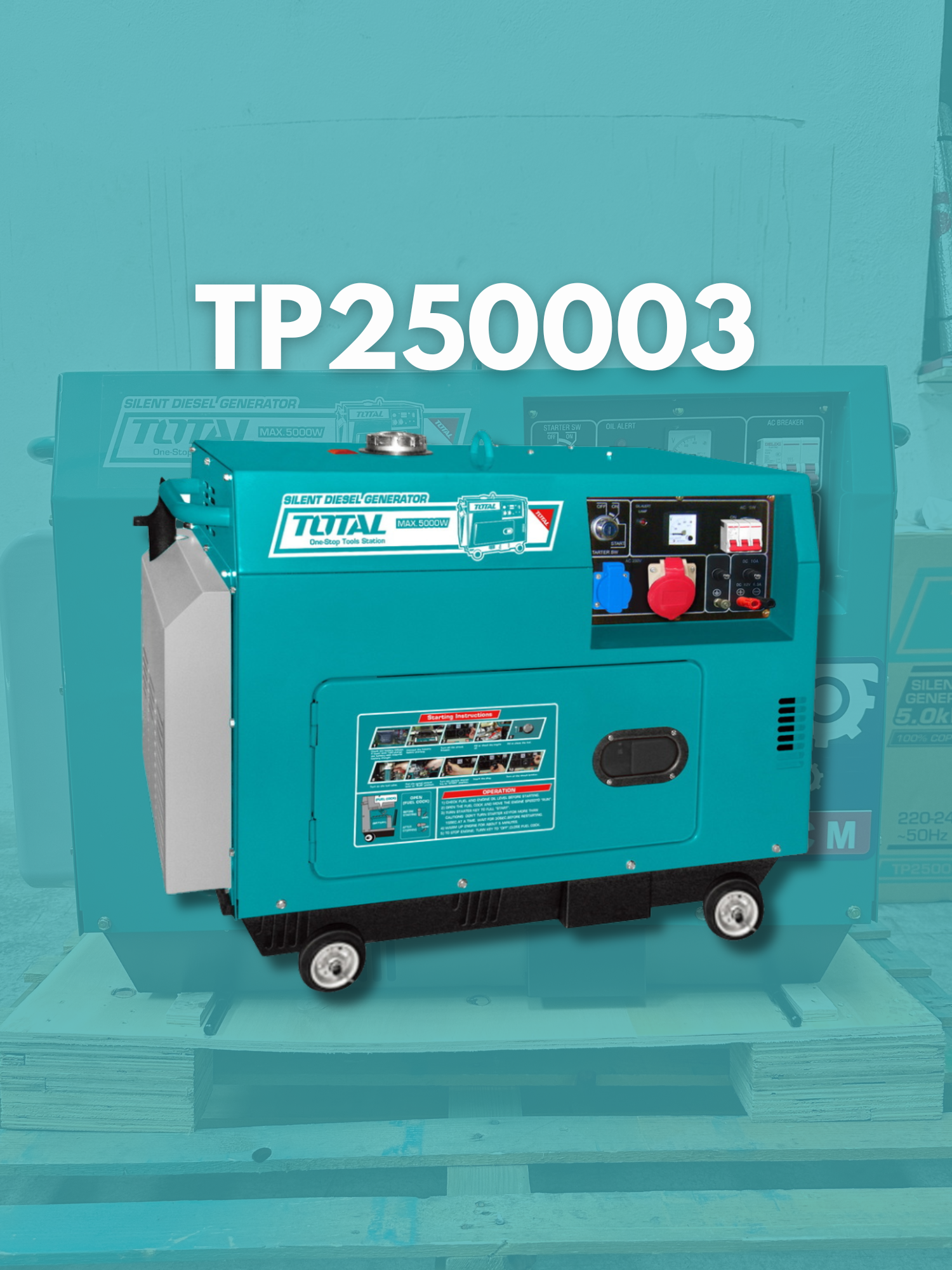 TP250003